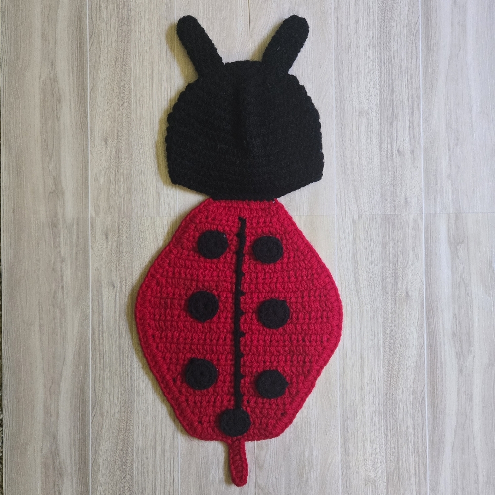 Newborn Hand Knit Crochet Ladybug Photo Prop Handmade Baby Gift Red Black